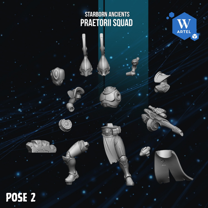 Praetorii Squad by Artel W | 3D Printed Miniatures