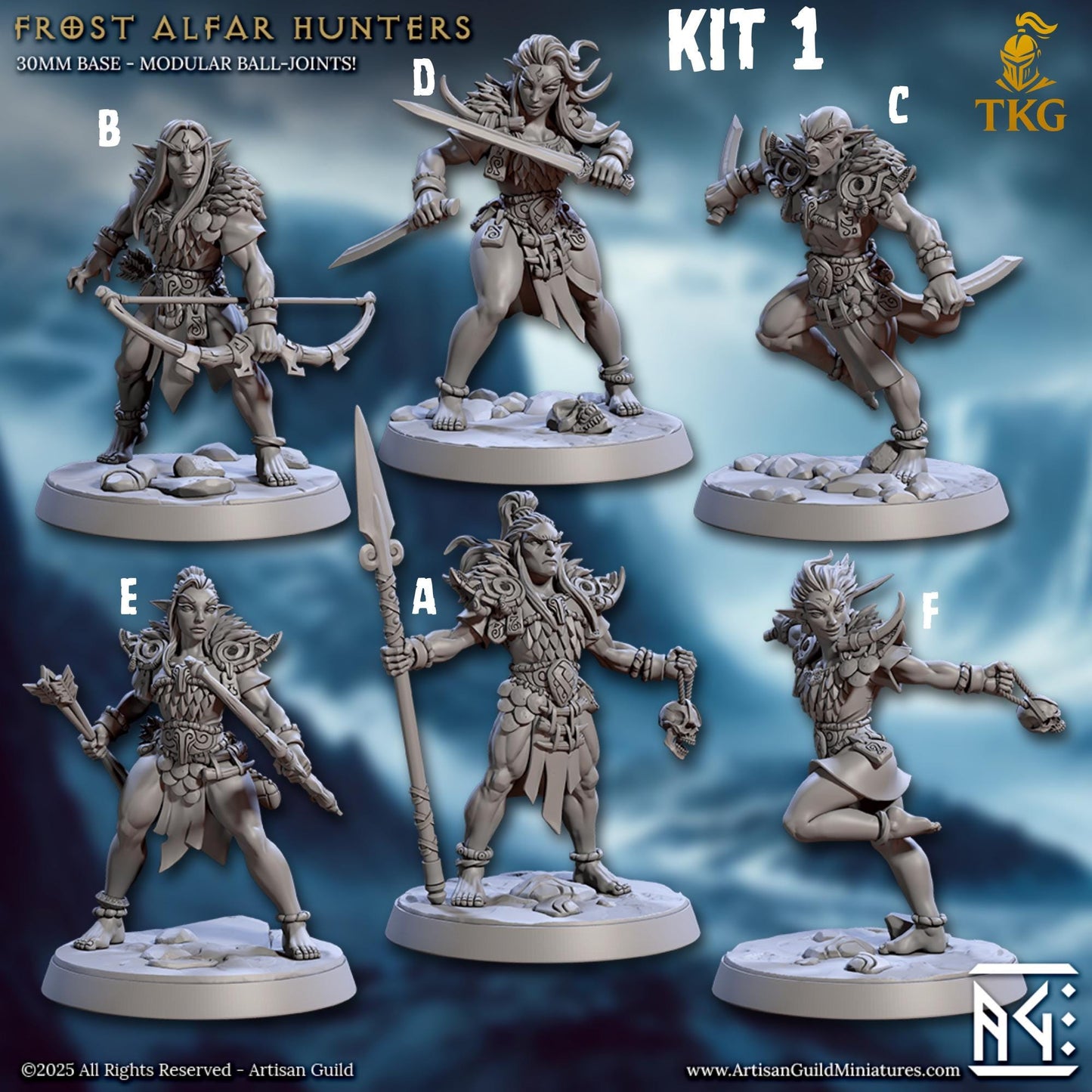 Frost Alfar of Skutagaard by Artisan Guild | 3D Printed Miniatures | Fantasy Models